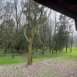  Apartmán Green Woods